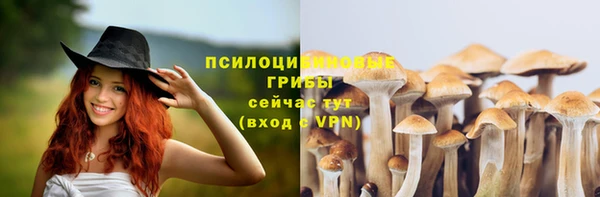 винт Алзамай