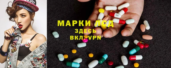 винт Алзамай