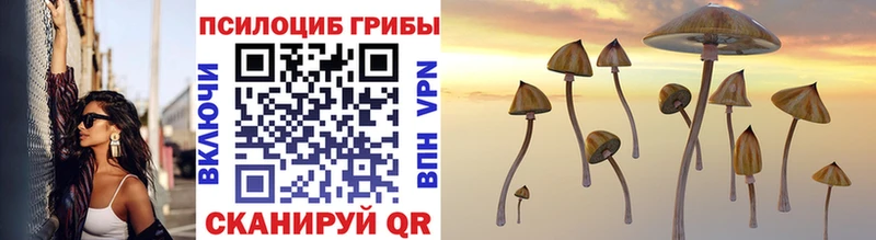 цена   маркетплейс Telegram  Псилоцибиновые грибы GOLDEN TEACHER  Уфа 